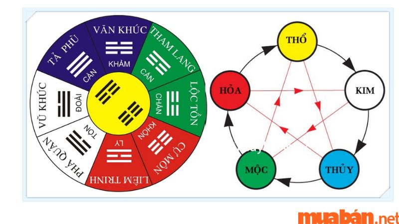 Tử vi ngũ hành Tuổi tý 1984 năm 2023 nữ mạng