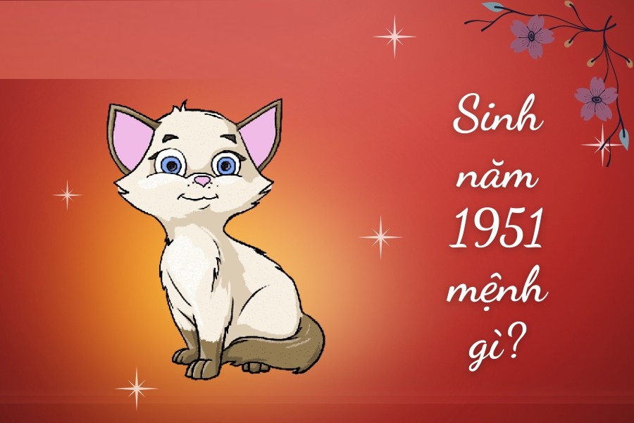 Sinh năm 1951 mệnh gì?