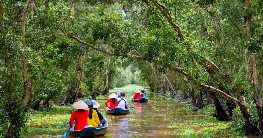 Du lịch rừng tràm Trà Sư - Đậm nét hoang sơ, bình yên tại An Giang