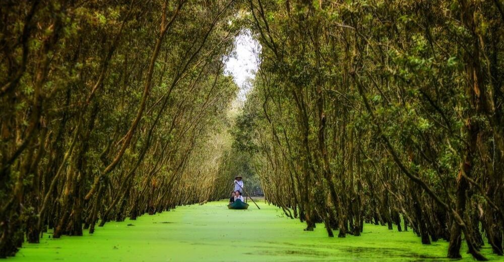 Du lịch rừng tràm Trà Sư - Đậm nét hoang sơ, bình yên tại An Giang