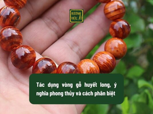 Tác dụng vòng gỗ huyết long